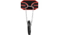 PSTX05 PAS TRENINGOWY HMS