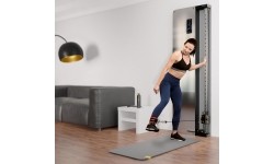 BSP301 PNEUMATYCZNA NAŚCIENNA BRAMKA TRENINGOWA KOMERCYJNA HMS