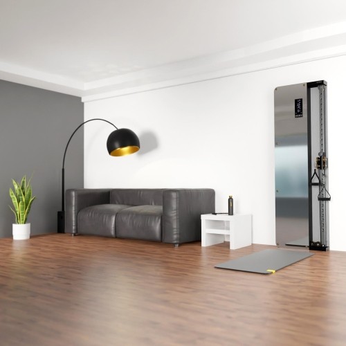 BSP301 PNEUMATYCZNA NAŚCIENNA BRAMKA TRENINGOWA KOMERCYJNA HMS