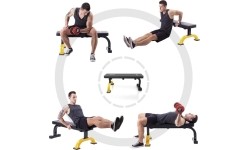 L8012 ŁAWKA DO ĆWICZEŃ HMS PREMIUM