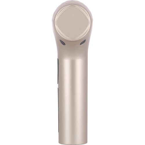 PDM3134I ZŁOTY PISTOLET DO MASAŻU HMS