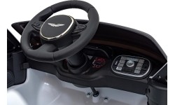 Aston Martin DBX pojazd biały