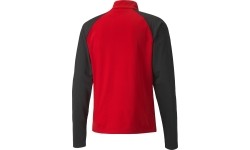 Bluza męska Puma TeamLiga 1/4 Zip Top Red Black 657236 01