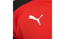 Bluza męska Puma TeamLiga 1/4 Zip Top Red Black 657236 01