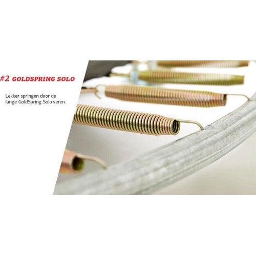 Trampolina ogrodowa BERG Favorit Regular z siatką Comfort 430 - zielona