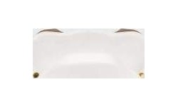 Venum Elite Lipguard OG Edition - biały/złoty