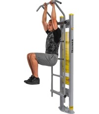 LadderD29