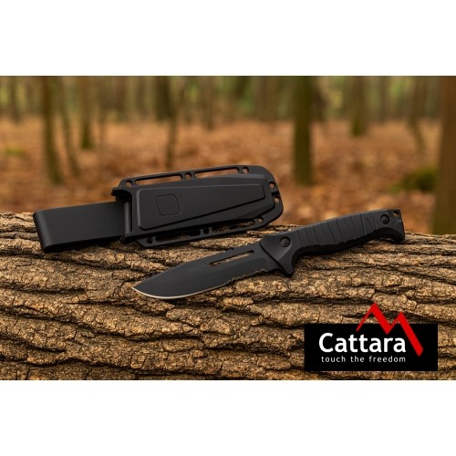 Sztylet WARRIOR 22,5cm z pochwą