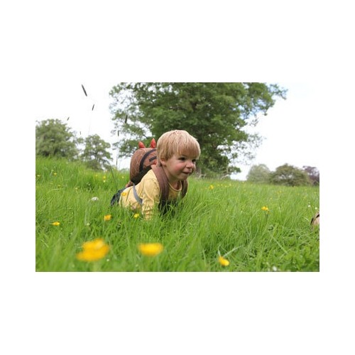 Littlelife Plecak dla malucha Dinozaur