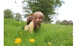 Littlelife Plecak dla malucha Dinozaur