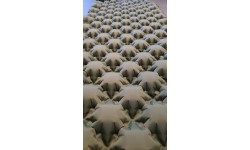 Mata do spania Origin Outdoors "Asterisk