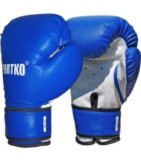 Rękawice bokserskie SportKO PD2 - Czarny