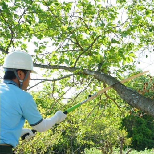 Silky Katanaboy 650-4 Piła ręczna składana