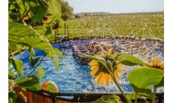 EXIT Basen kamienny ø427x122cm z pompą z filtrem piaskowym - szary