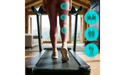 PROFESSIONAL ELECTRIC HOME TREADMILL WITH INCLINE AND DECLINE FUNCTION HMS TERRUN475