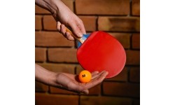 Rakietka do tenisa stołowego windstorm****