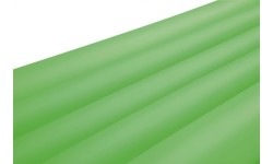 Materac plażowy 183 69 cm BESTWAY Zielony