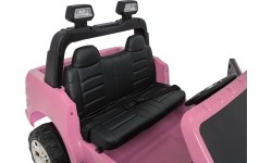 RAM 3500 Pink Vehicle