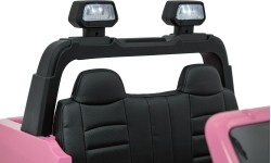RAM 3500 Pink Vehicle