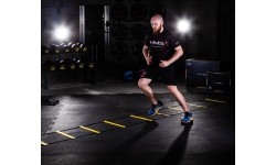 DK06 QUICK LADDER HMS PREMIUM