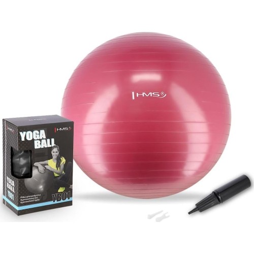 YB01 NOWA 65CM ŚLIWKOWA PIŁKA GIMNASTYCZNA HMS