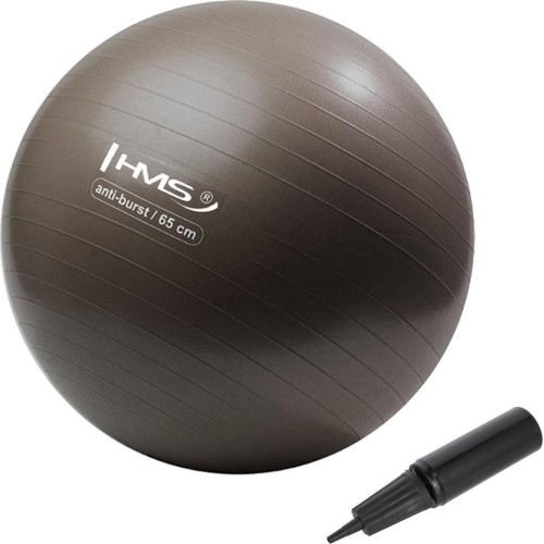 YB02N 65CM PIŁKA GIMNASTYCZNA GRIZZLY HMS