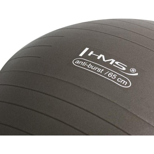 YB02N 65CM PIŁKA GIMNASTYCZNA GRIZZLY HMS