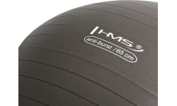 YB02N 65CM PIŁKA GIMNASTYCZNA GRIZZLY HMS