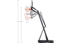 ZDK027 NADZIEJA KOSZYKÓWKI NILS