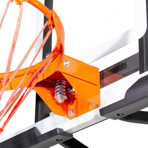 ZDK027 NADZIEJA KOSZYKÓWKI NILS