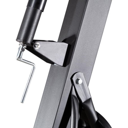 ZDK027 NADZIEJA KOSZYKÓWKI NILS