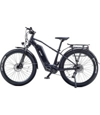 Rower elektryczny Beaster BS120B, 250 W, czarny