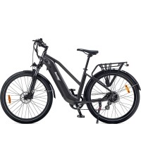 Rower elektryczny Beaster BS114G, 250 W, szary