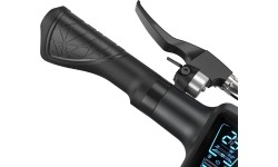 Skuter elektryczny Beaster BS09, 250W, 36V, 10Ah