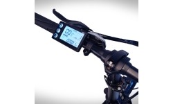 Rower elektryczny Beaster BS115O, 250 W, 36 V, 8,8 Ah, pomarańczowy, składany