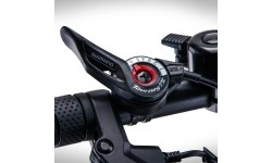 Rower elektryczny Beaster BS115O, 250 W, 36 V, 8,8 Ah, pomarańczowy, składany