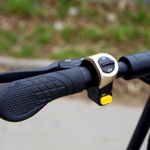 Skuter elektryczny Beaster BS11, 2000W, 48V, 18Ah