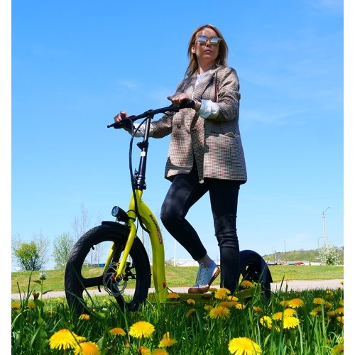 Hulajnoga elektryczna Beaster Scooter VOYAGER, 350 W, 36 V, 10 Ah, ciemnoszara