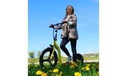 Hulajnoga elektryczna Beaster Scooter VOYAGER, 350 W, 36 V, 10 Ah, ciemnoszara