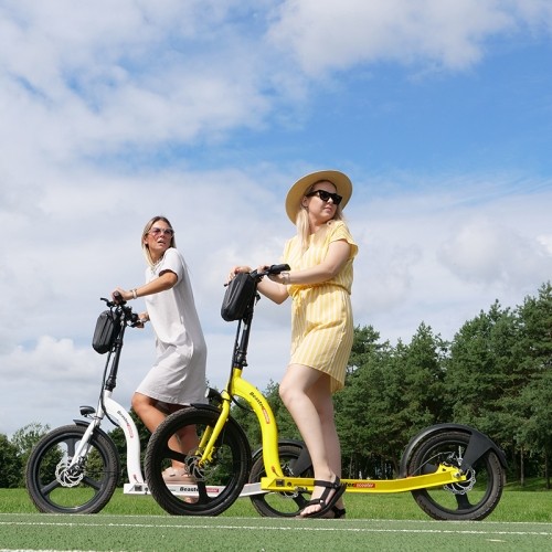 Hulajnoga elektryczna Beaster Scooter VOYAGER 350 W, 36 V, 10 Ah, biała