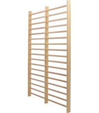 Rehabilitacyjna podwójna drabinka gimnastyczna Coma-Sport GS-003-1 – 2,56x1,8 m