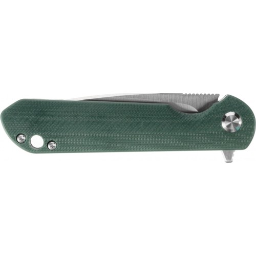 Ganzo Firebird FH41S-GB folding knife.