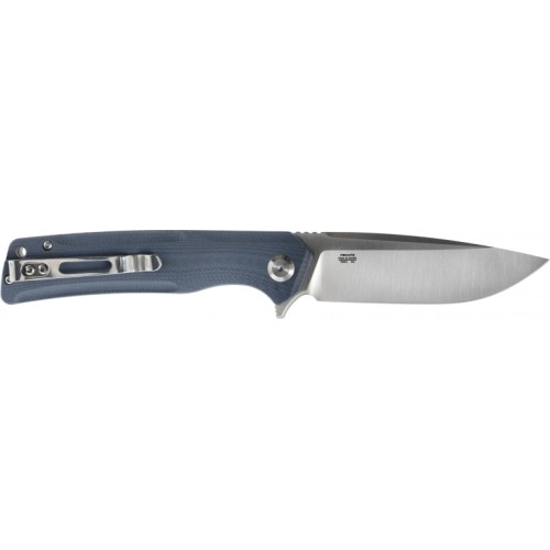 Ganzo Firebird FH91-GY folding knife