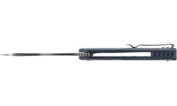 Ganzo Firebird FH91-GY folding knife