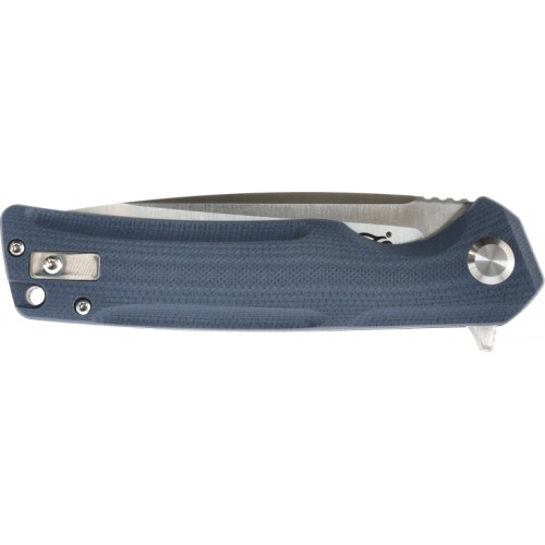 Ganzo Firebird FH91-GY folding knife