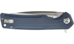 Ganzo Firebird FH91-GY folding knife