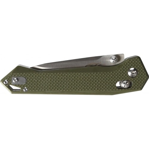 Ganzo Firebird FB7651-GR folding knife