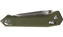 Ganzo Firebird FB7651-GR folding knife