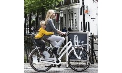 Dviračio kėdutė Polisport Guppy Junior // 26-29", 22-35 kg, ant bagažinės (pilka)