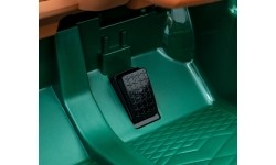 Bentley Bacalar Green